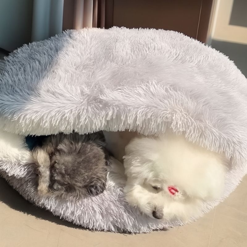 Premium Fluffy Plush Shell Pet Bed - The Fur Hub